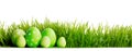 Row of Easter Eggs in grass Royalty Free Stock Photo