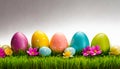 Row of Easter eggs on grass with a white background Royalty Free Stock Photo