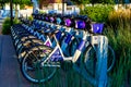 A row of electric bikes in Gene Leahy Mall