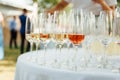 A row of empty champagne glasses on table. Banquet setting Royalty Free Stock Photo