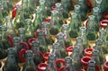 Row of empty glass bottles Royalty Free Stock Photo