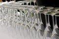 Row of empty wine champagne glasses ready for the party Royalty Free Stock Photo