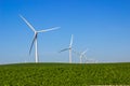 Green Field With Energy Producing Three Bladed Windmills Royalty Free Stock Photo
