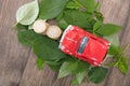 A row of euro coins surrounded by fresh green leaves and cars climbing on them