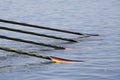 ROW: The European Rowing Championships