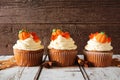 Row of fall pumpkin spice cupcakes with creamy frosting against rustic wood Royalty Free Stock Photo