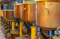 Row of fermentation tanks at Destileria Capel, Vicuna, Chile