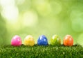 A row of five colorful easter eggs on green grass