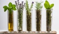 A row of five glass beakers filled with plants