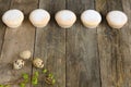 Row of five muffins Royalty Free Stock Photo