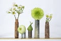 Row of Five Used Bullet Casings Filled with Plants and Flowers