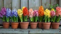 Row of Flower Pots on Wooden Shelf Royalty Free Stock Photo