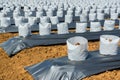 Row of Coconut coir in nursery white bag for farm with fertigation , irrigation system Royalty Free Stock Photo