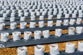 Row fo Coconut coir in nursery white bag for farm with fertigation , Royalty Free Stock Photo