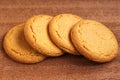 Ginger snaps Royalty Free Stock Photo