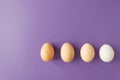 Row of four natural farm chicken eggs isolated on very peri background. Easter holiday concept. Royalty Free Stock Photo