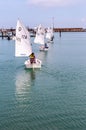 Row of four, single person sailboats, sailing in a line, to participate, in a youth, sailing race