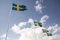 A row of four Swedish flags Royalty Free Stock Photo