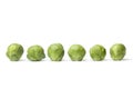 Row of fresh Brussels sprouts