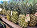 A row of fresh Dole Pineapples at a Whole Foods Grocery Store
