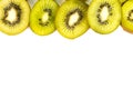 A row of fresh kiwi slices is placed along the top of a white background Royalty Free Stock Photo