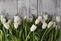 Row of fresh white spring tulips of wooden table