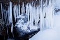 Row of frosty icicles in nature