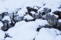 Row of frosty icicles in nature