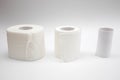 Row of full toilet paper and Empty toilet paper rolls on white background