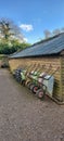 Row of garden wheelbarrows. Royalty Free Stock Photo