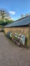 Row of garden wheelbarrows.