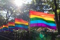 Row of Gay Pride Rainbow Flags near the Stonewall Inn in Greenwich Village of New York City