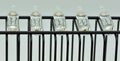 Row of glass ampoules Royalty Free Stock Photo