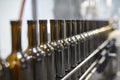 Row of glass wine bottles moving by conveyor Royalty Free Stock Photo