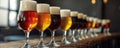 A row of glasses, each with a different craft beer, sits on a wooden bar counter. Royalty Free Stock Photo