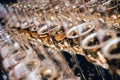 Row of glasses of wine. A restaurant. Royalty Free Stock Photo