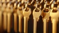 Row of gold keys hanging on hooks, concept of security, access, opportunity, and choice Royalty Free Stock Photo