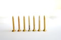 Row of gold wood screws standing tall isolated on a white background. Royalty Free Stock Photo