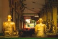 A row of golden buddha statue at Wat Intharam Royalty Free Stock Photo