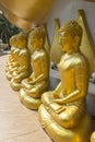 Row of Golden Buddha in Thailand