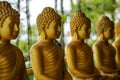 Thai Buddhas At A Temple 