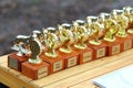 Row of golden trophy cups for dog competition. Russian lettering saying `to the smartest` and `to the most fearless`