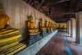 Row of goldenbuddha in Bangkok, thailand .