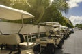 Row of Golf Carts Parked on a Tropical Island Royalty Free Stock Photo
