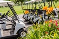 Row of Golf carts Royalty Free Stock Photo