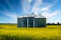 Row of grain bins standing on a blooming yellow mustard seed field Royalty Free Stock Photo