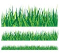 Row of grass Royalty Free Stock Photo