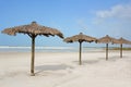 Row of Grass Beach Cabanas by the Ocean