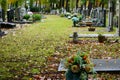 Row of graves on historic cemetery in Lommel, Belgium Royalty Free Stock Photo