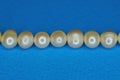 A row of gray white pearl beads Royalty Free Stock Photo